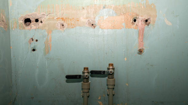 Best Flood restoration services  in Fairmount, TN